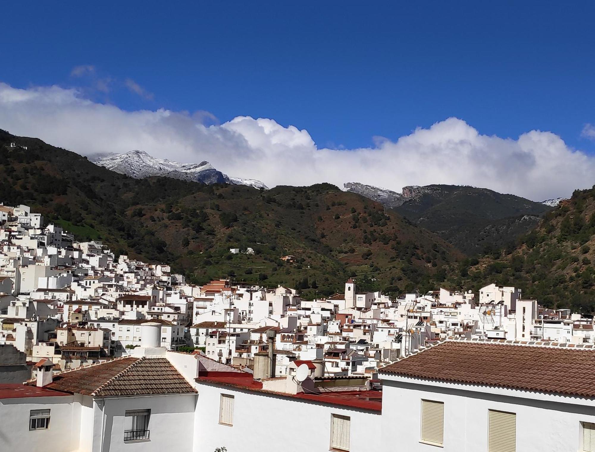 Apartamento El Almencino Tolox Exterior foto